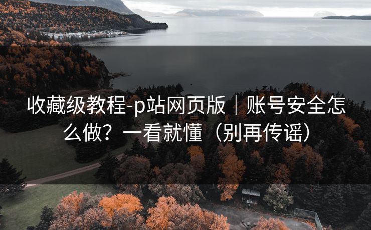 收藏级教程-p站网页版｜账号安全怎么做？一看就懂（别再传谣）