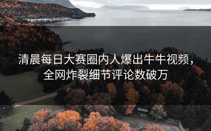 清晨每日大赛圈内人爆出牛牛视频，全网炸裂细节评论数破万